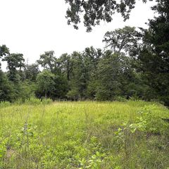 TBD Pr 4045, Centerville, TX 75833