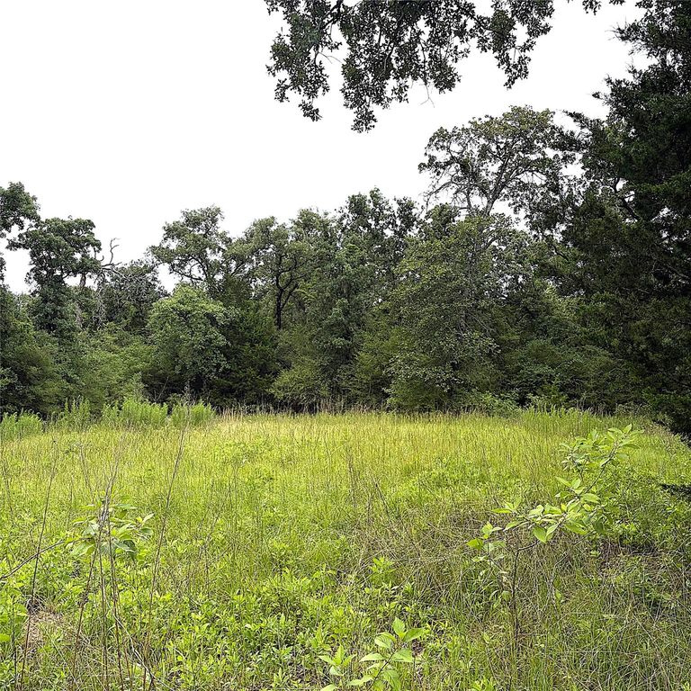 TBD Pr 4045, Centerville, TX 75833