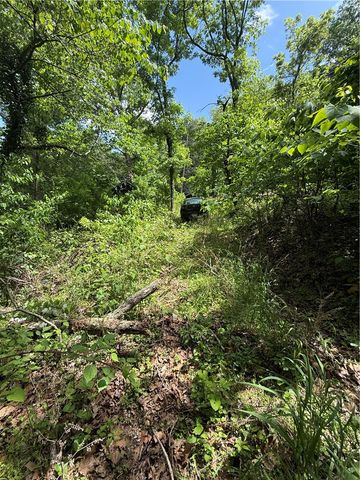 186 County Road 2102, Eureka Springs, AR 72632