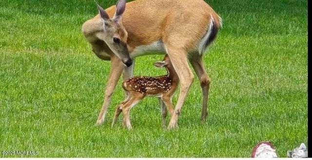 5 Revere Court, Whiting, NJ 08759