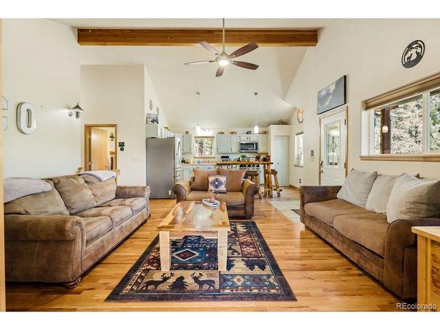 163 Buffum St, Bailey, CO 80421