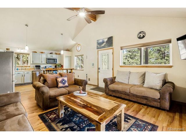 163 Buffum St, Bailey, CO 80421