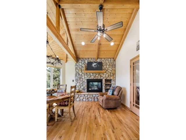 163 Buffum St, Bailey, CO 80421