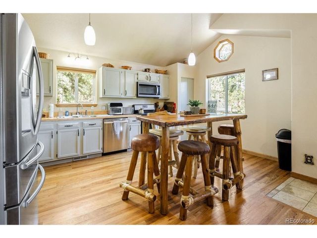163 Buffum St, Bailey, CO 80421
