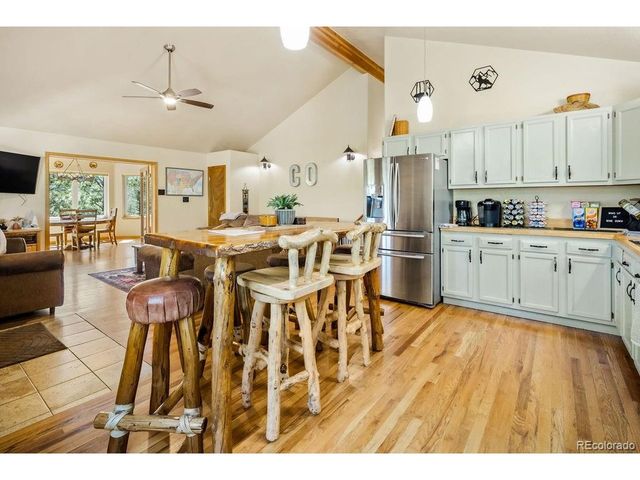163 Buffum St, Bailey, CO 80421