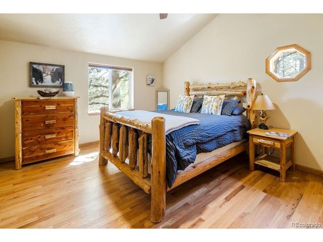163 Buffum St, Bailey, CO 80421
