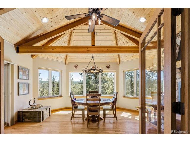 163 Buffum St, Bailey, CO 80421