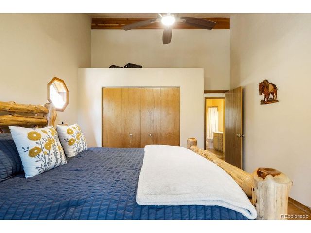 163 Buffum St, Bailey, CO 80421