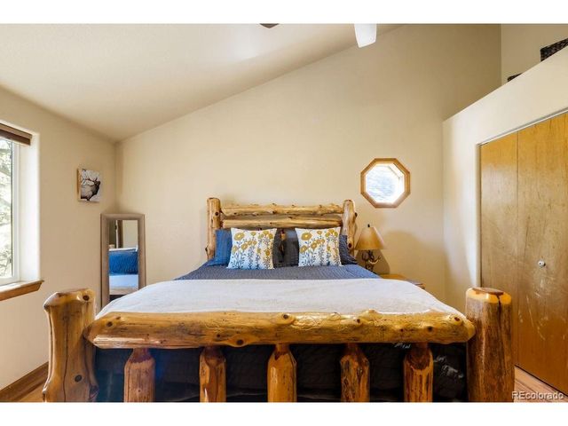 163 Buffum St, Bailey, CO 80421