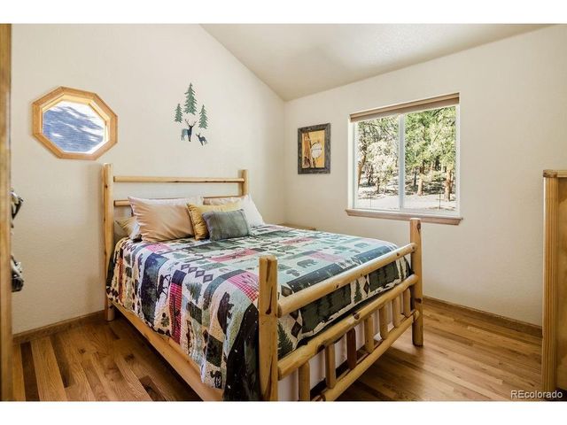 163 Buffum St, Bailey, CO 80421