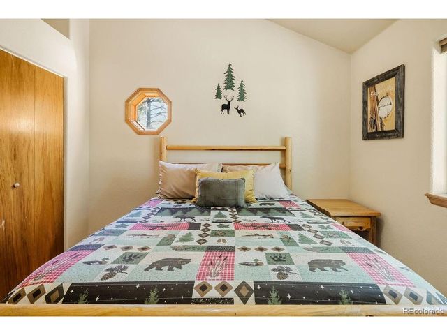 163 Buffum St, Bailey, CO 80421