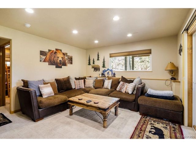 163 Buffum St, Bailey, CO 80421