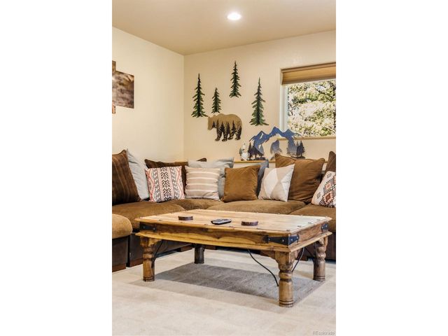 163 Buffum St, Bailey, CO 80421