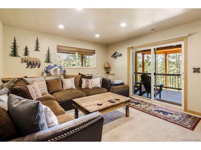 163 Buffum St, Bailey, CO 80421