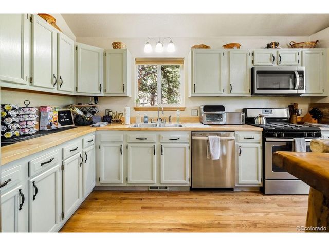 163 Buffum St, Bailey, CO 80421