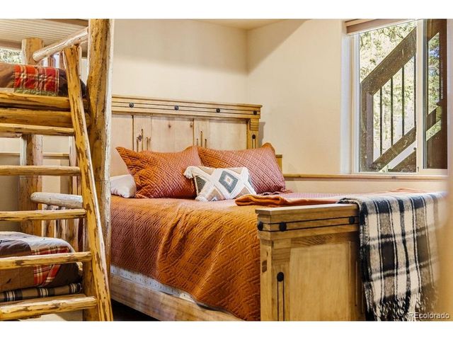 163 Buffum St, Bailey, CO 80421