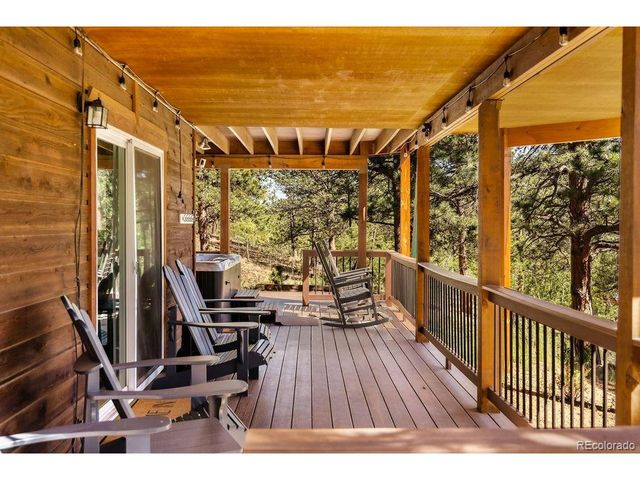 163 Buffum St, Bailey, CO 80421
