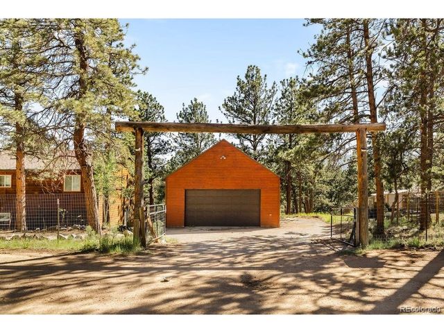 163 Buffum St, Bailey, CO 80421