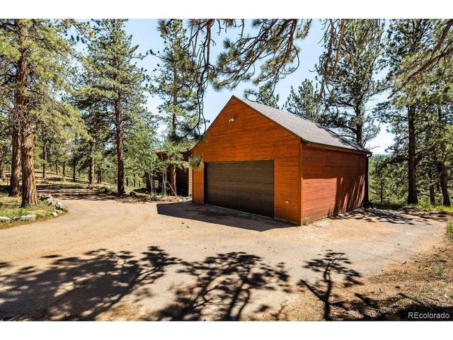 163 Buffum St, Bailey, CO 80421