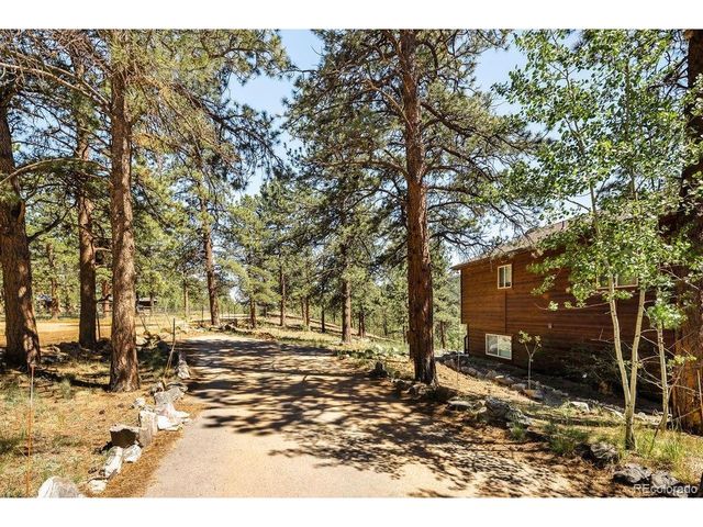 163 Buffum St, Bailey, CO 80421