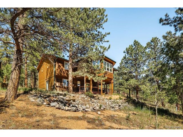 163 Buffum St, Bailey, CO 80421