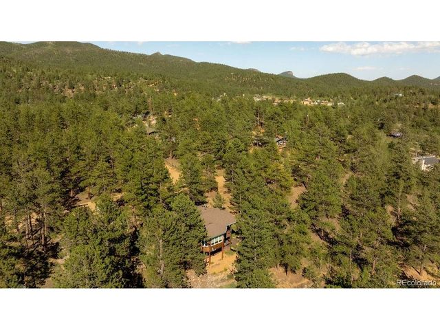 163 Buffum St, Bailey, CO 80421