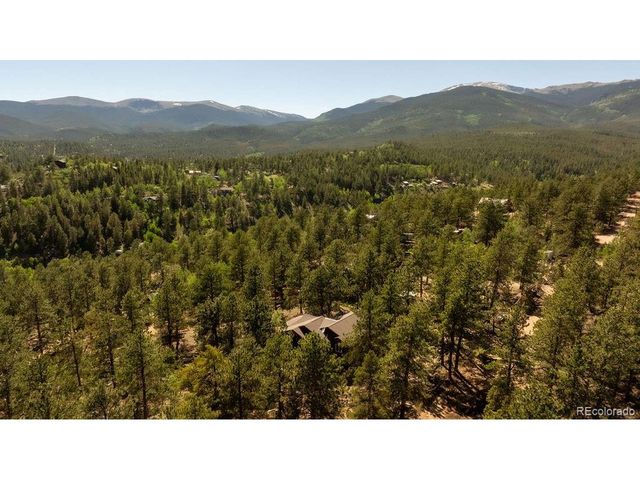 163 Buffum St, Bailey, CO 80421