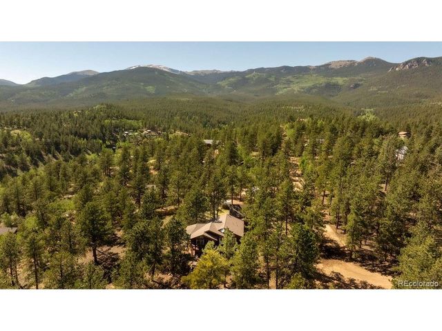 163 Buffum St, Bailey, CO 80421