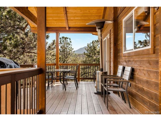163 Buffum St, Bailey, CO 80421