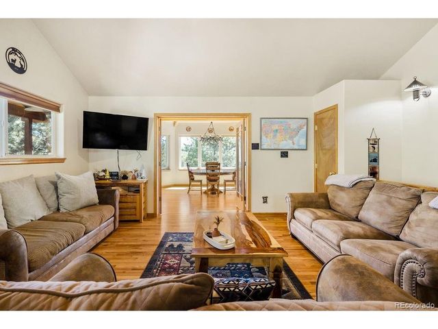 163 Buffum St, Bailey, CO 80421