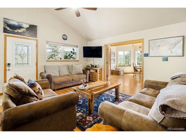 163 Buffum St, Bailey, CO 80421