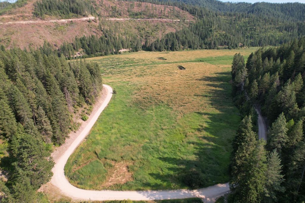 41XX North Deer Lake Rd, Loon Lake, WA 99148 photo 6