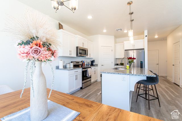 493 S STEWART CREEK CV, Washington, UT 84780