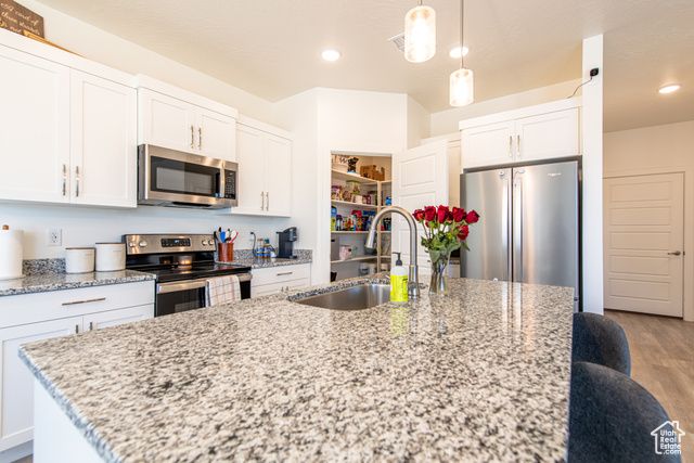 493 S STEWART CREEK CV, Washington, UT 84780