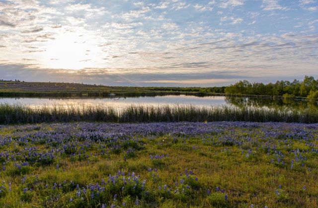 50 CR 3227 Lot 3, Mt Pleasant, TX 75455
