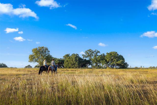 121 Hartfield Hill Ln - Tract 12, Round Top, TX 78954