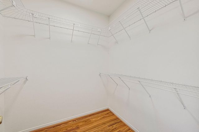 8302 N Madrone TRL, Austin, TX 78737