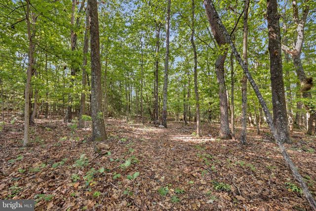 9054 JAMES MONROE HWY, Culpeper, VA 22701