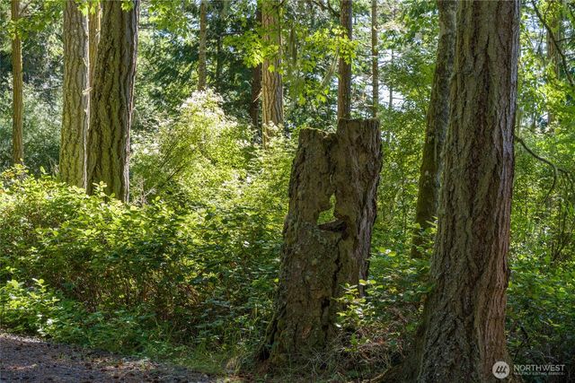 304 Frances Lane, Lopez Island, WA 98261