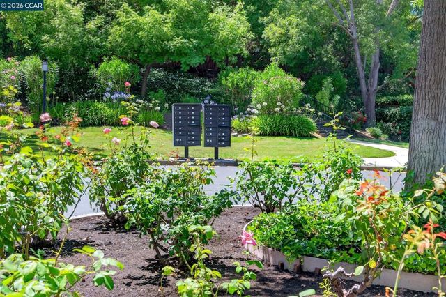 726 Buena Vista Pl, Walnut Creek, CA 94597