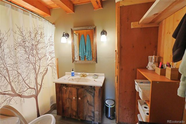 420 Quarzt Lane, Pitkin, CO 81241