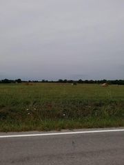 Tract 4 South Farm Rd 115, Battlefield, MO 65619