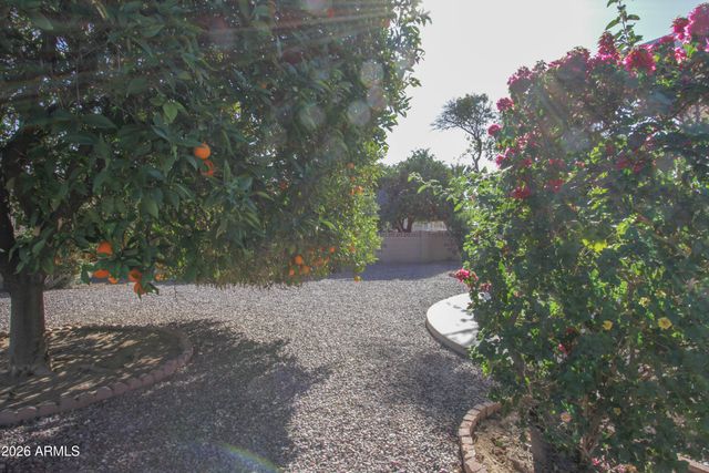 10729 W AMBER Trail, Sun City, AZ 85351