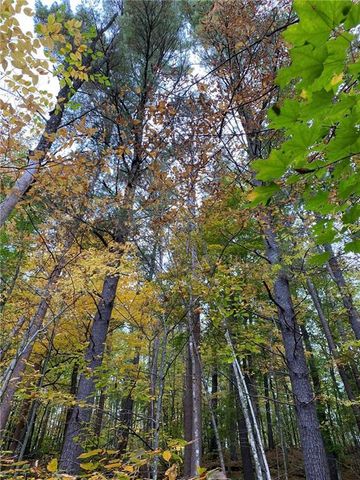 N4385 Red Oak Lane, Stone Lake, WI 54876