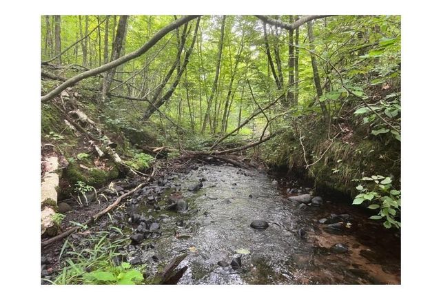 N4385 Red Oak Lane, Stone Lake, WI 54876