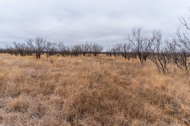 T2 County Road 204, Bradshaw, TX 79567