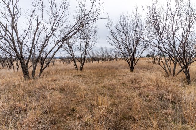 T2 County Road 204, Bradshaw, TX 79567