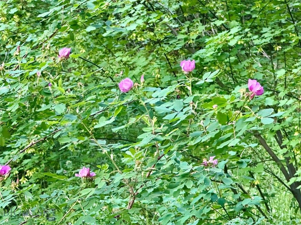 Lot 31 tbd Round Pole Drive, Three Forks, MT 59752 photo 10