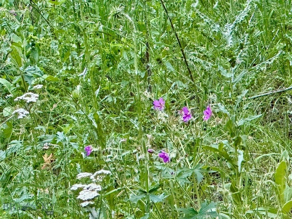 Lot 31 tbd Round Pole Drive, Three Forks, MT 59752 photo 11