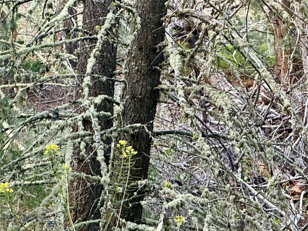 Lot 31 tbd Round Pole Drive, Three Forks, MT 59752 photo 12